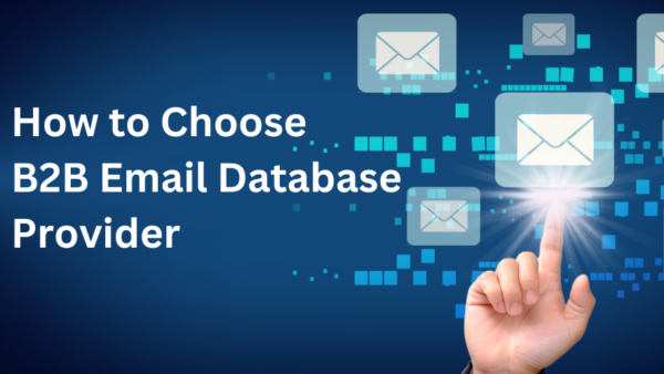 How to Choose the Best B2B Email Database Provider